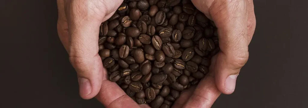 des mains qui tiennent des grains de café fraîchement torréfiés